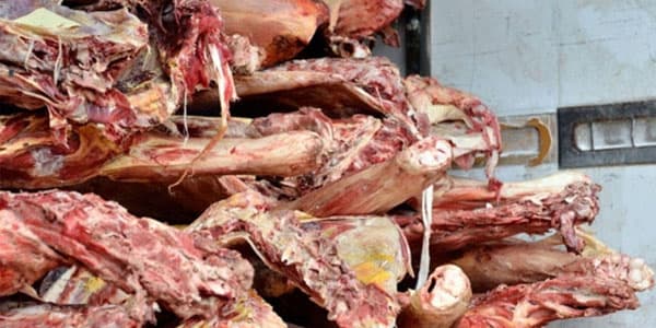 Azərbaycana 34 ton dondurulmuş at əti idxalının qarşısı alınıb