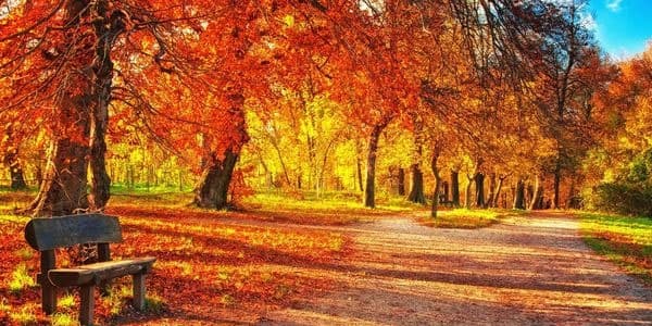 Payızın Azərbayacan gələcəyi vaxt açıqlandı