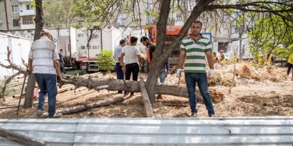 Eldar Əzizov iş başında: "Zeytunluq"dakı hasarlar da söküldü
