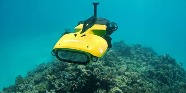 Böyük Sədd Rifini robotlar qoruyacaq (FOTOLAR)
