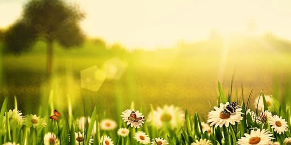 İstirahət günləri üçün hava proqnozu