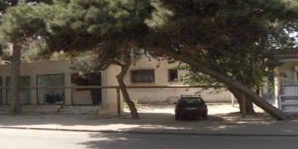 Bakı meriyasından sürücülərə müraciət: Maşınları ağacların altında saxlamayın (VİDEO)