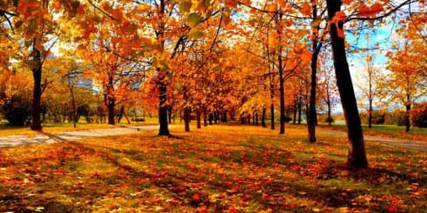 Oktyabr ayına olan hava proqnozu açıqlandı