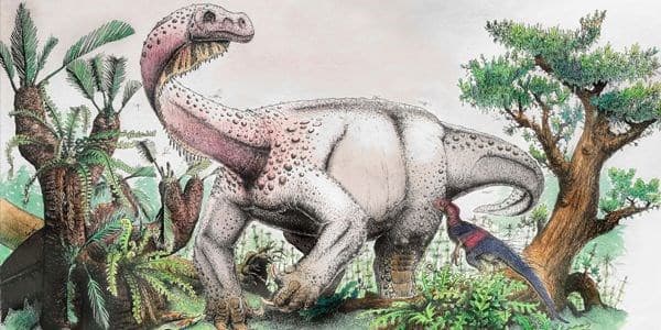 Yeni dinozavr növü tapıldı (FOTOLAR)