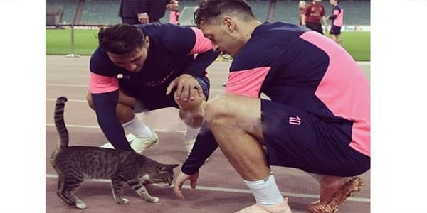 Ağdam sakini Məsut Özillə fotosu olan pişiyi satışa çıxardı