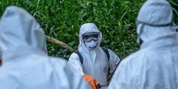 Ebola kabusu qayıtdı: ölənlərin sayı artır