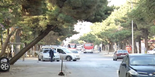 Bakıdakı bu ağaclar ətrafa təhlükə saçır (VİDEO)