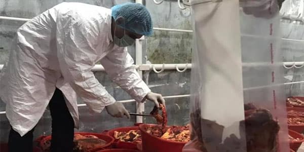 Abşeronda gecə reydi: 2 tona yaxın ölmüş heyvan əti aşkarlandı (FOTO/VİDEO)