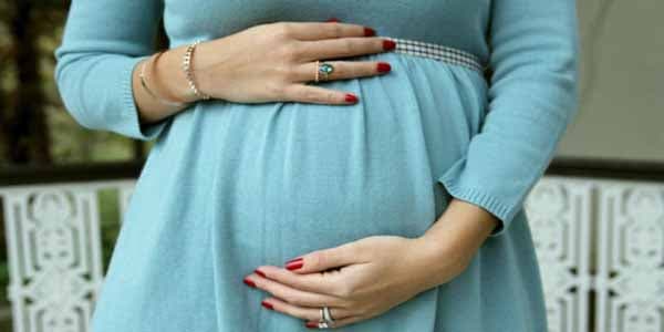 Sumqayıtda hamilə qadın arı sancmasından şok vəziyyətinə düşüb