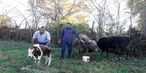 160 ailəyə mal və materiallar verildi
