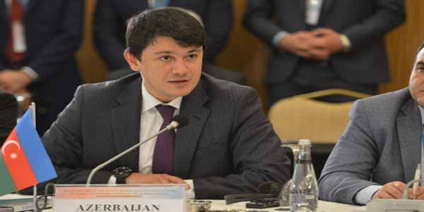 Türk dövlətlərinin diaspor portalı yaradılacaq