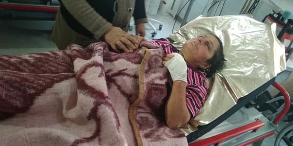 Lənkəranda yırtıcı heyvanlar sakinlərə hücum etdi: 4 nəfər yaralandı (FOTOLAR)