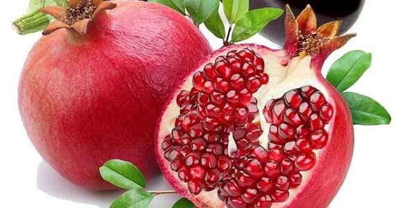Ölkədə bu məhsulun istehsalının artımı gözlənilir