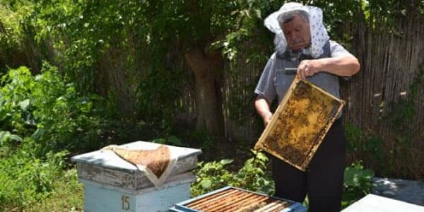 Bu işlə məşğul olanlara şad xəbər: 480 min manat ayrıldı