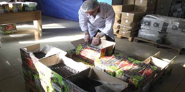 Azərbaycana gətirilən 31 ton kişmiş zərərsizləşdirildi