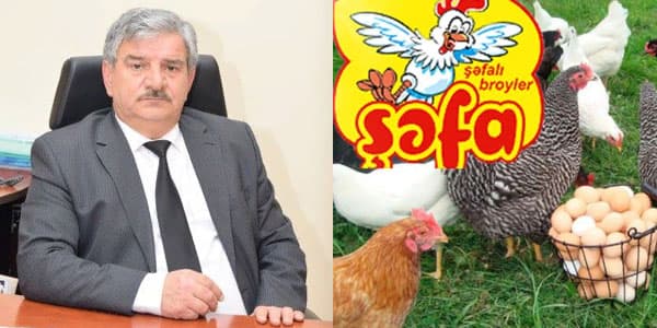 "Şəfa broyler"dən gələn direktor müəllimləri təhqir edir - İTTİHAM