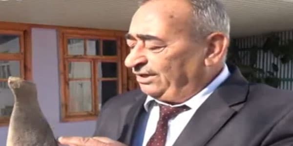 Cəlilabadda yeni tarix üzə çıxdı (VİDEO)