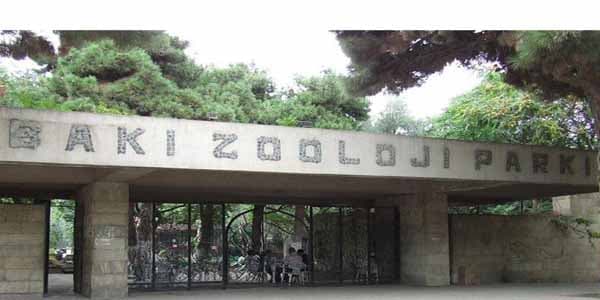 Bakı Zooparkındakı heyvanlar Qaradağa köçürülür