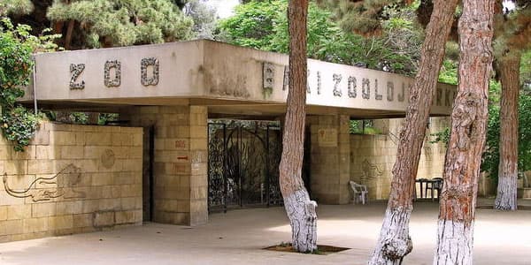 Bakı zooparkı bağlanır: heyvanlar Qaradağa aparılır