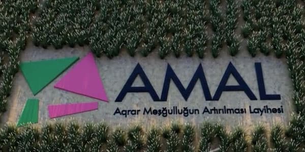 AMAL layihəsinə qoşulanlara azı 2 min manatlıq maliyyə dəstəyi veriləcək