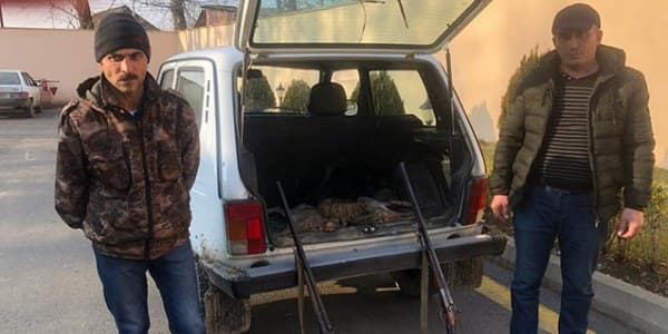 İsmayıllıda qanunsuz ov edən şəxslər saxlanıldı (FOTO)