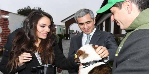 Leyla Əliyeva Balaxanıda sahibsiz itlərə qayğı mərkəzinin açılışında (FOTOLAR)