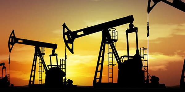 Neftin qiyməti 66 dolları ötdü