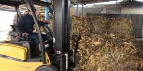 Tonlarla Azərbaycan tütünü Dağıstana buraxılmadı