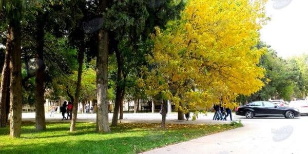İstirahət günlərində hava necə olacaq?