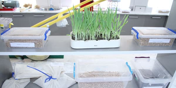 Azərbaycanda müasir toxumçuluq laboratoriyası yaradılacaq