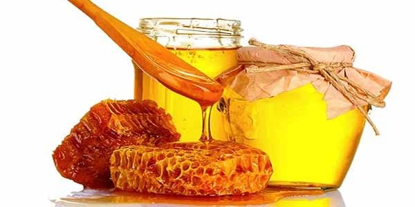 Azərbaycandan daha çox hansı ölkə bal alır?
