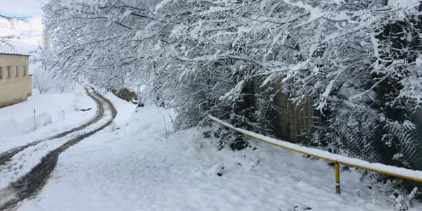 Naxçıvana 30 sm qar yağdı (FOTO/VİDEO)