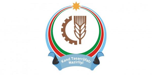 Azərbaycanda yeni assosiasiya yaradıldı