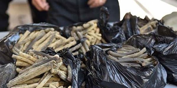 Azərbaycanda böyük əməliyyat: külli miqdarda narkotik vasitələr götürüldü