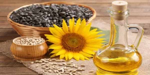 Bitki yağlarında xolesterin varmı?