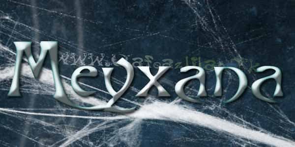 Daha bir meyxanaçı ilə bağlı üzücü xəbər