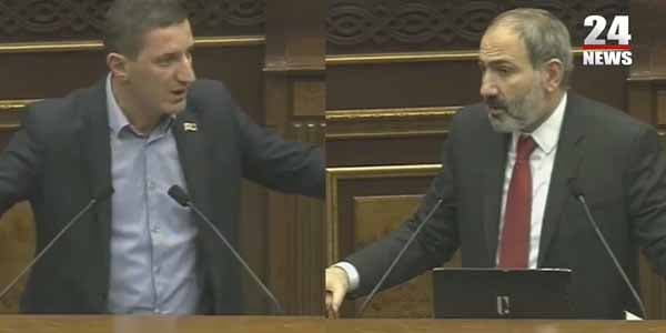 Erməni deputatdan Paşinyana timsah və quşla bağlı sual
