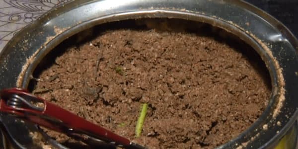 Yağ adı ilə satdılar, ancaq içindən qum çıxdı (VİDEO)