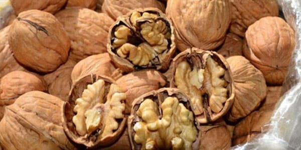 Alimlərdən xərçənglə bağlı vacib tövsiyə