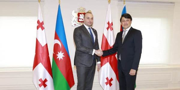 Fuad Muradov Gürcüstanın Baş naziri və parlamentin vitse-spikerilə görüşdü (FOTOLAR)