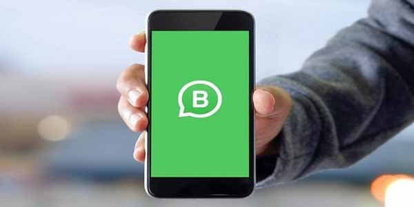 "Whatsapp Business" iOS-da da istifadəyə verildi