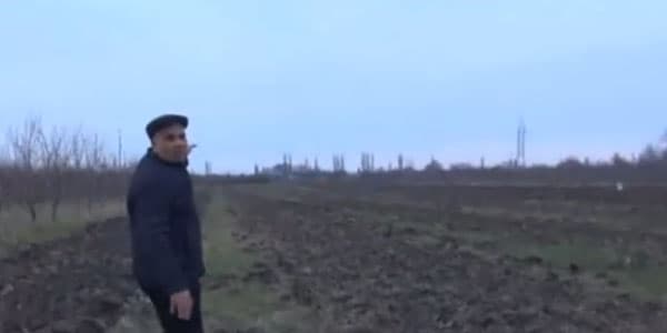 Xaçmaz sakininin iki ildir həyətinə əkdiyi ağaclar oğurlanır (VİDEO)