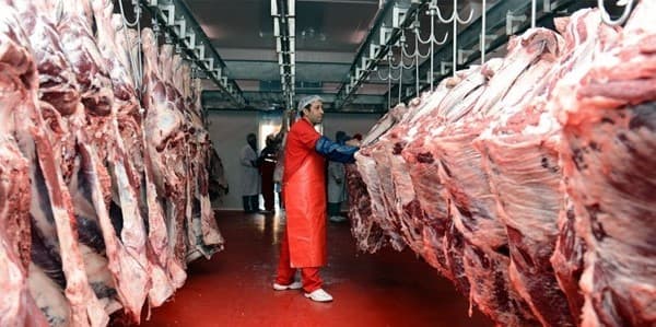 Azərbaycanda 330 kiloqram at əti aşkar edilib