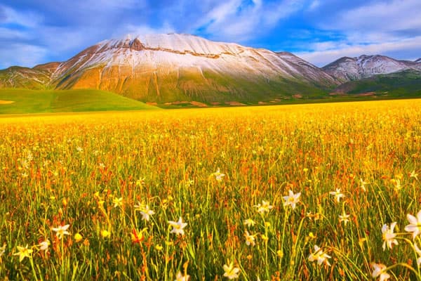 Sabah temperatur 23 dərəcəyədək artacaq