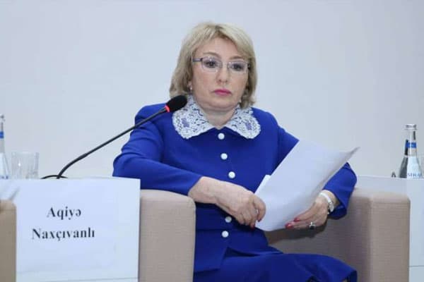 Komitə sədri Prezidentin sərəncamının detallarını açıqladı
