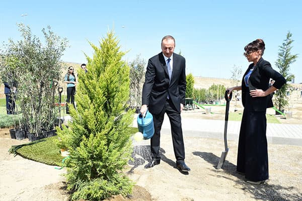 Prezident və ailə üzvləri ağacəkmə aksiyasında iştirak edib