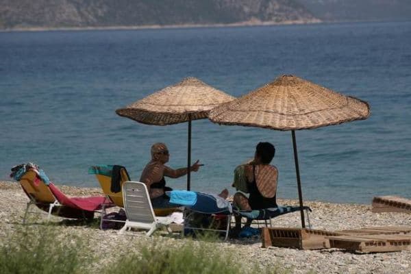 Qida Təhlükəsizliyi Agentliyi istirahət zonalarında monitorinqlər keçirir