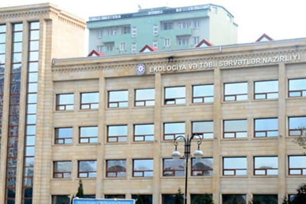 Bakı, Lənkəran və Qubada qanunsuz ağac kəsilməsi ilə bağlı cinayət işi başlanıb