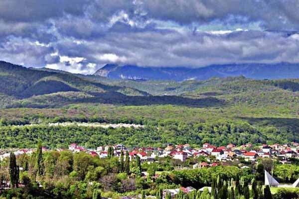 2019-cu ilin ən gəlirli sahəsi