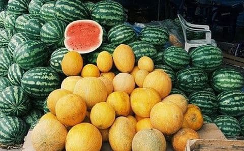 Bakıda satılan qarpızlar haradan gətirilir və onları yemək olarmı? (AÇIQLAMA)